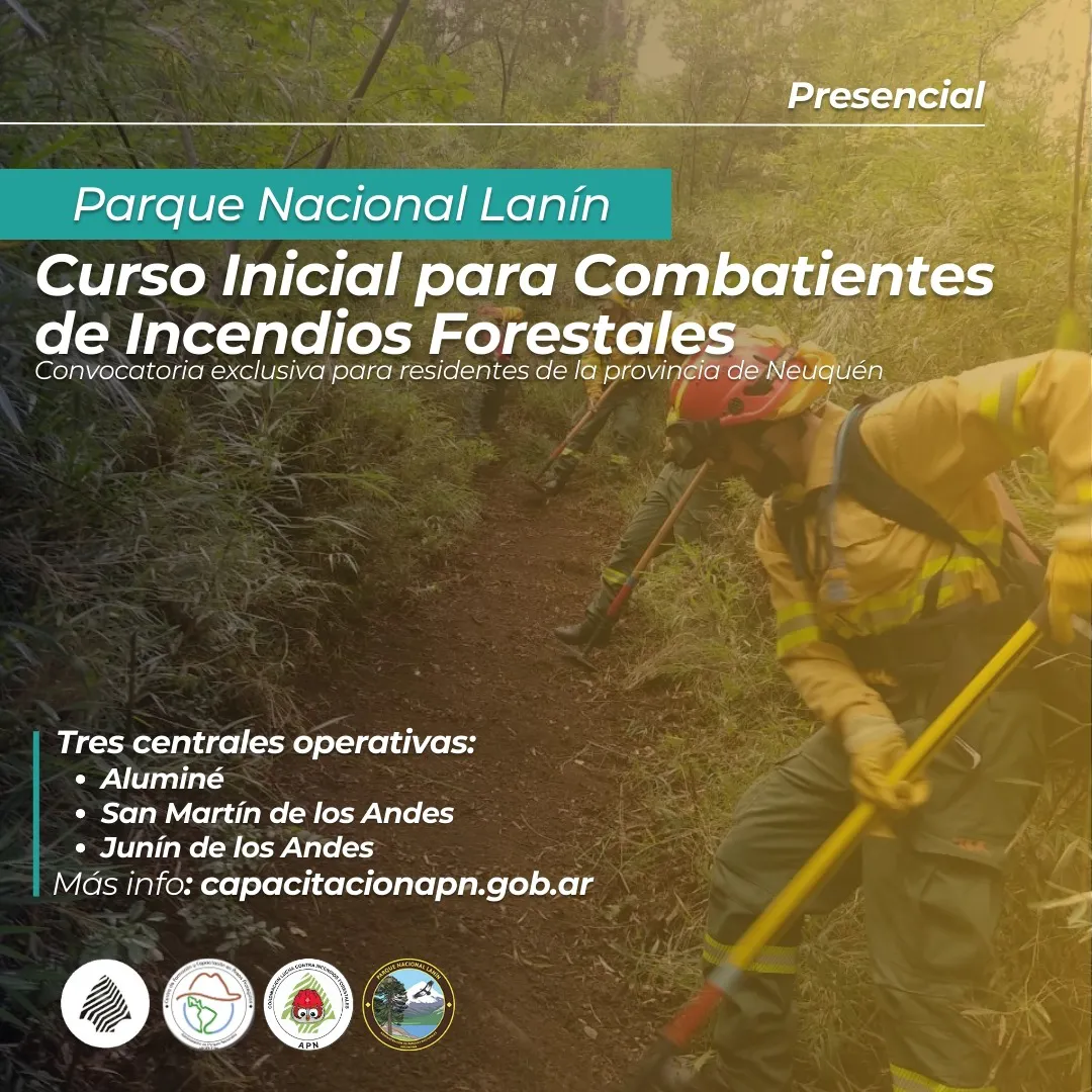 Imagen de WhatsApp 2025-09-01 a las 11.23.09_38272990