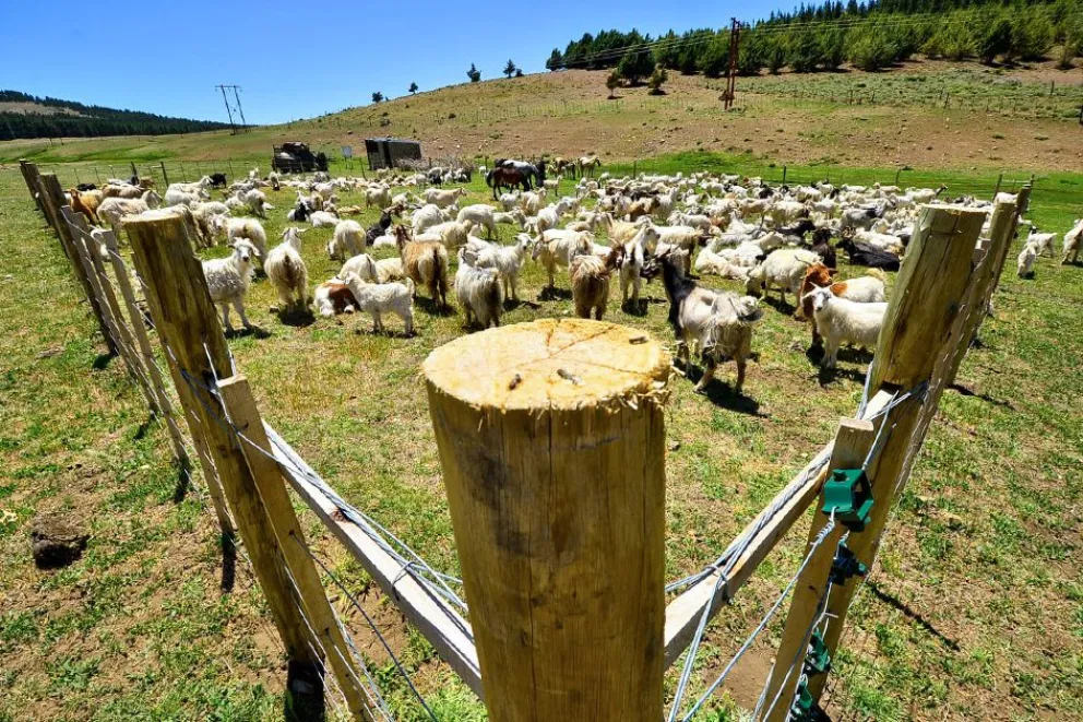 md - 2025-12-24T103522.259