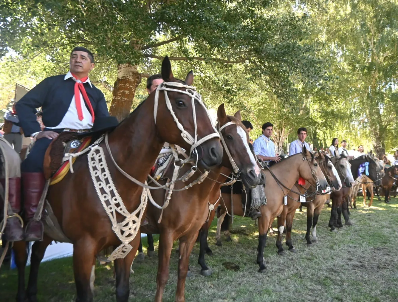 WhatsApp Image 2025-01-26 at 12.37.56