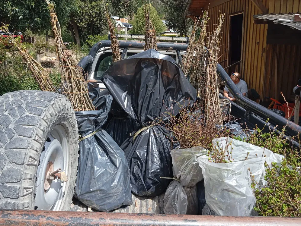 Imagen de WhatsApp 2024-10-21 a las 08.08.46_73df5cc2