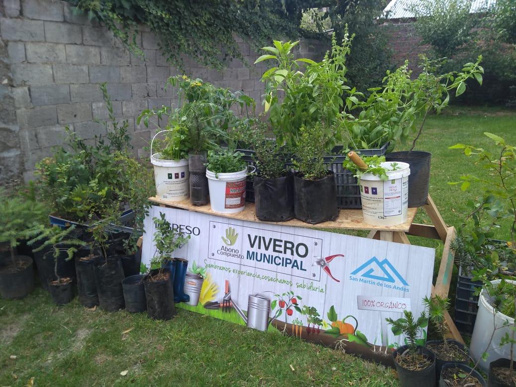 vivero