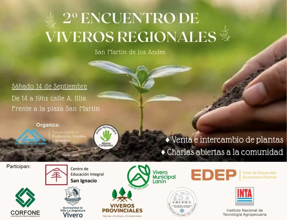 Imagen de WhatsApp 2024-09-09 a las 08.29.38_c67f94f7