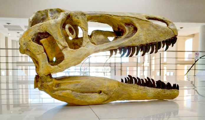 Captura de pantalla 2024-07-31 090749