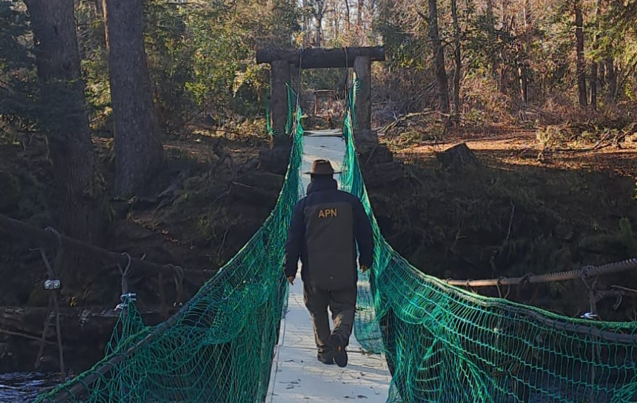 Captura de pantalla 2024-07-29 093814