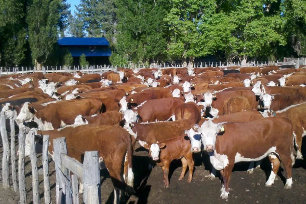 md - 2026-02-26T092226.404