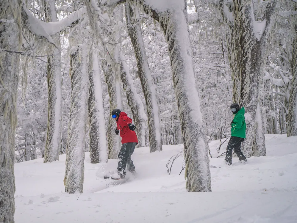 primavera en chapelco 20240922-_7R36230