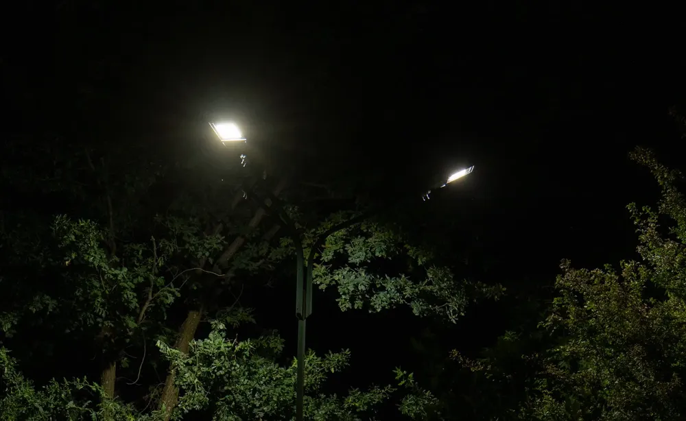 Imagen de WhatsApp 2025-03-13 a las 15.43.29_c69101c5