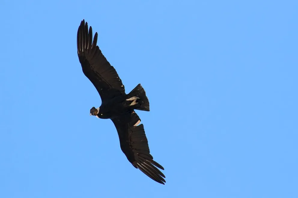 md - 2025-10-30T110657.421