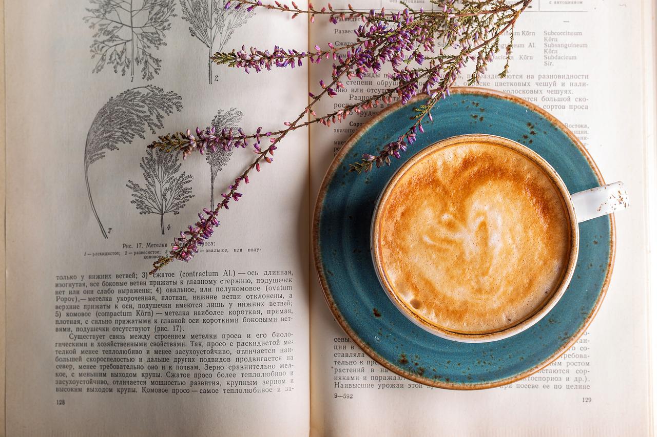 cafe literario1