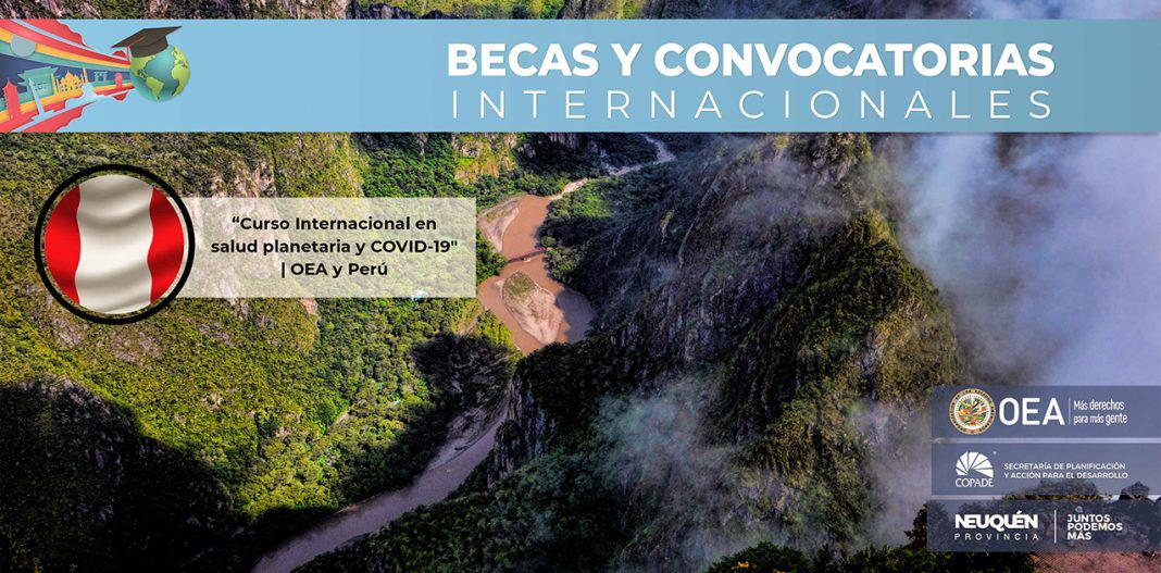 curso covid