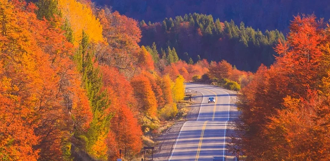 san martin en otoño