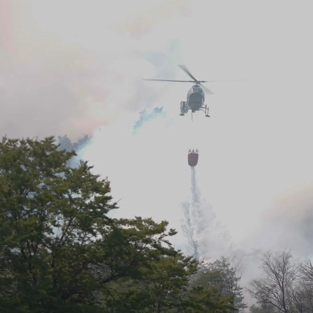 Imagen de WhatsApp 2025-02-09 a las 19.39.39_80d2c8ef