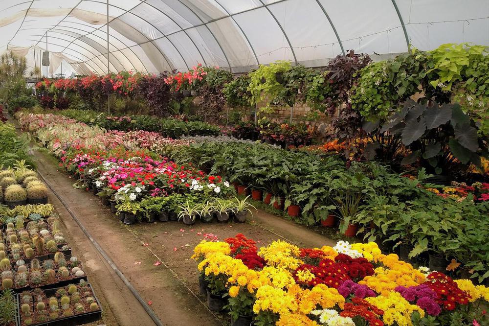 encuentro de viveros