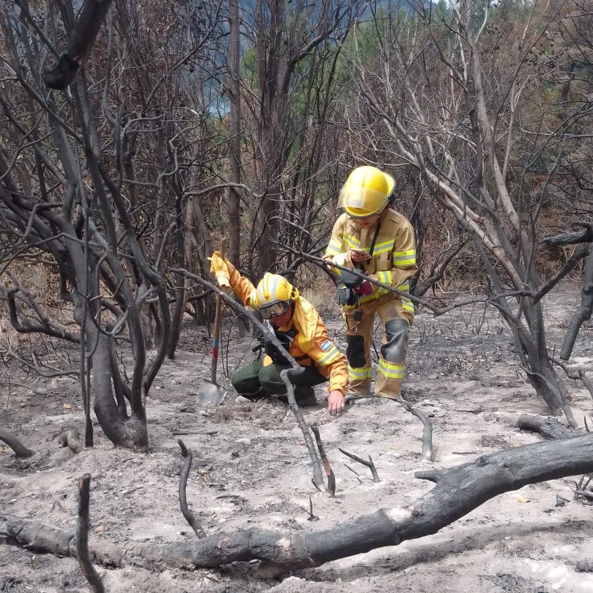 473992261_908929184752898_6343851122053124475_n