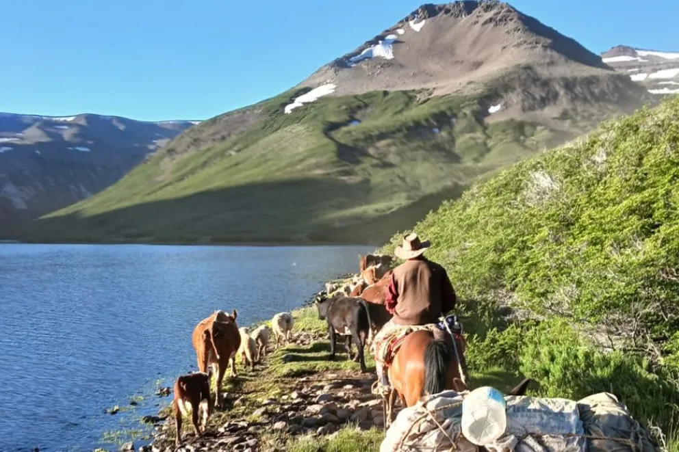 Cabalgatas