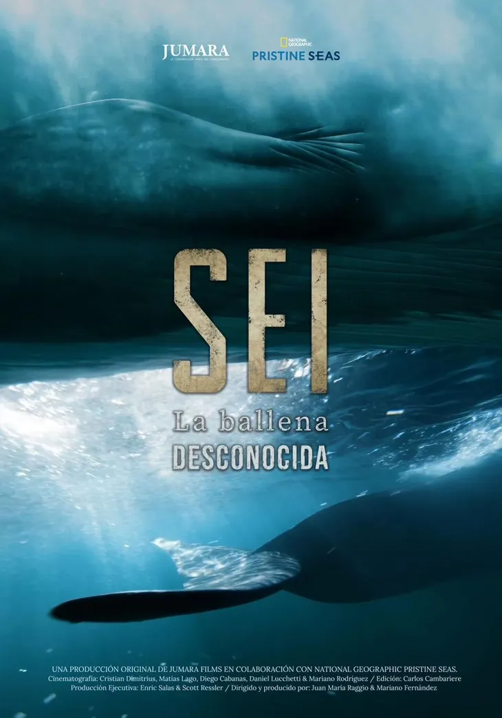 ballena-documental-2