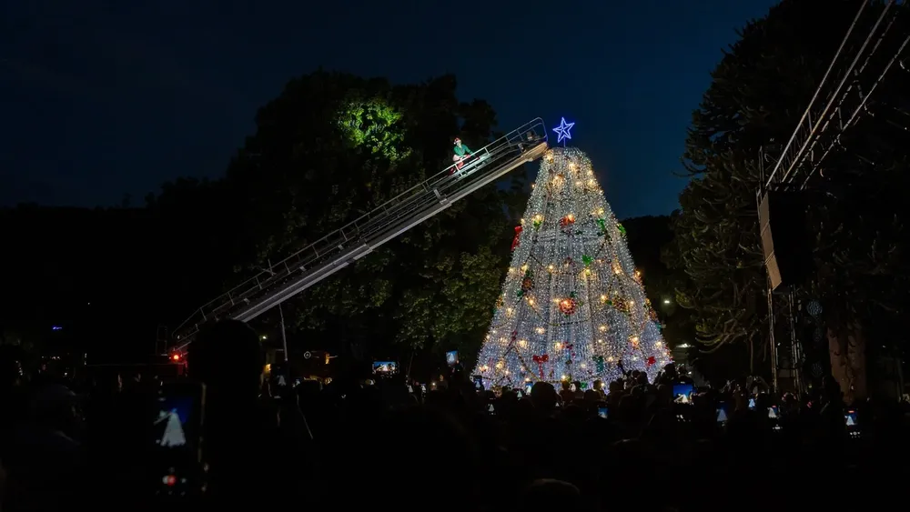 Imagen de WhatsApp 2024-12-23 a las 09.47.28_dcfc85f5