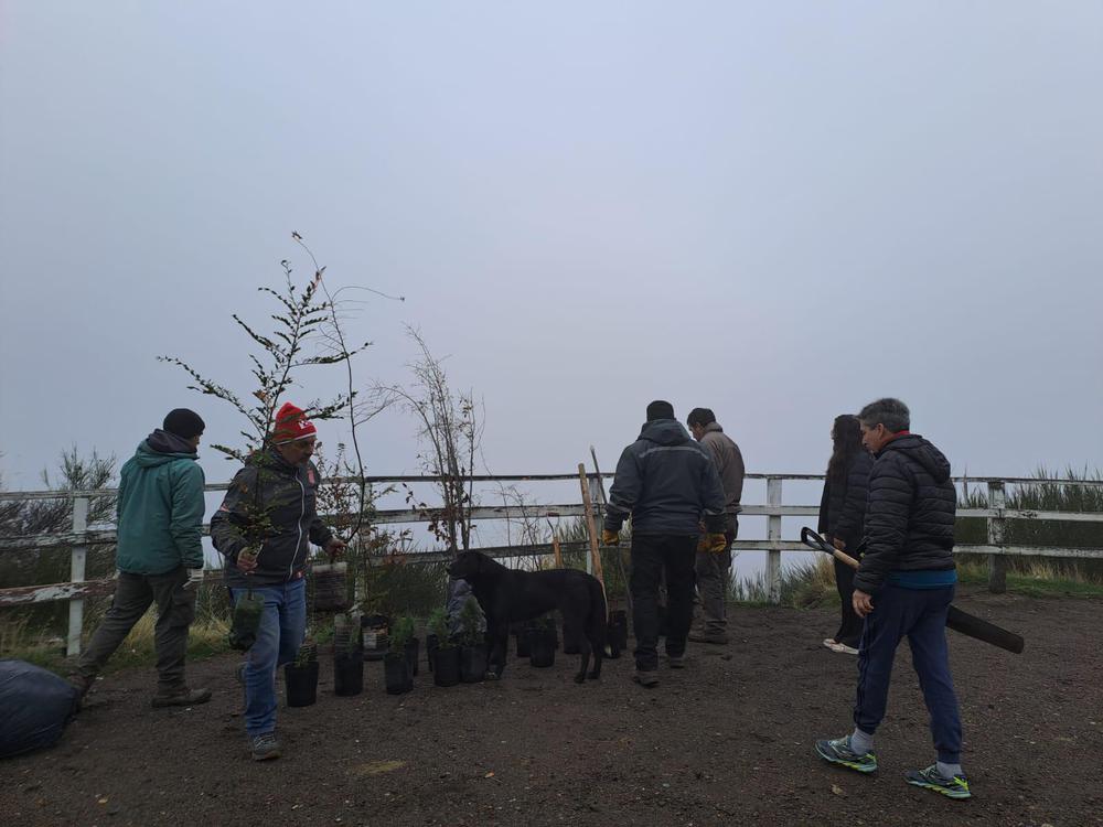 Imagen de WhatsApp 2024-06-15 a las 16.25.24_a1025900