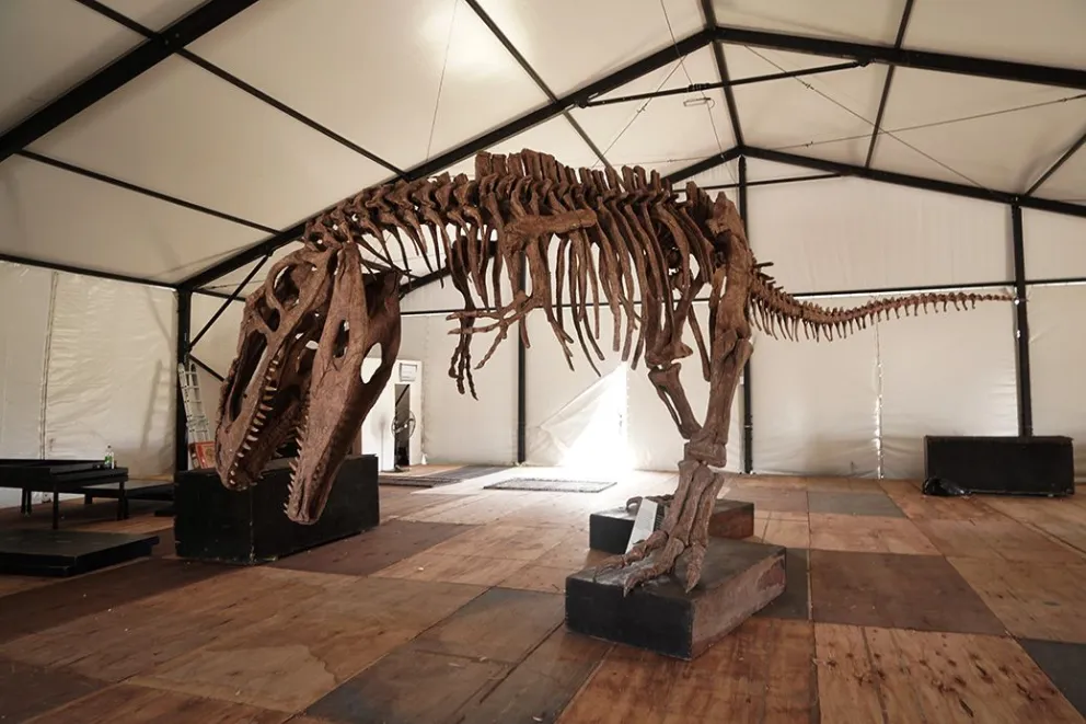 md - 2026-02-04T090922.570