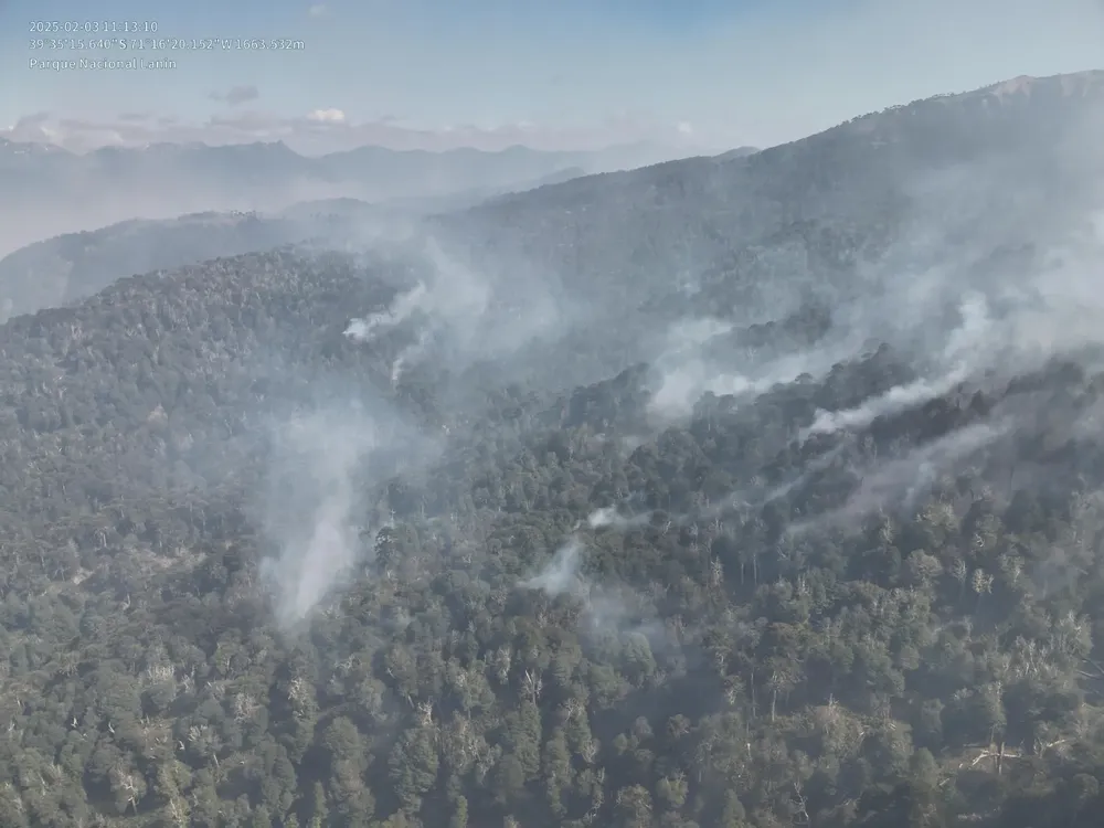 Imagen de WhatsApp 2025-02-03 a las 21.49.24_13044f01