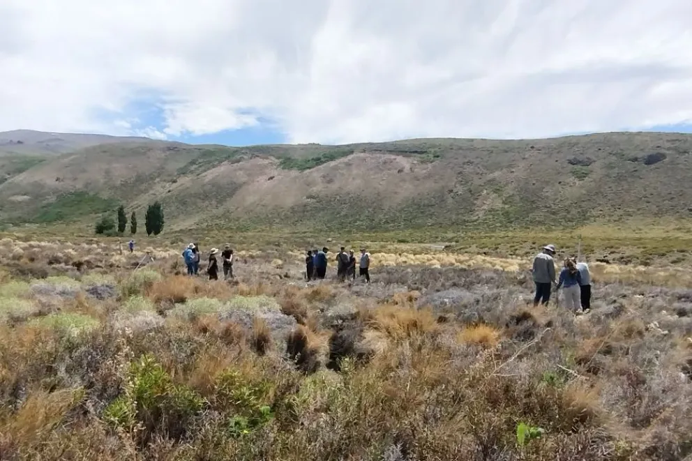 md - 2025-12-15T091908.798