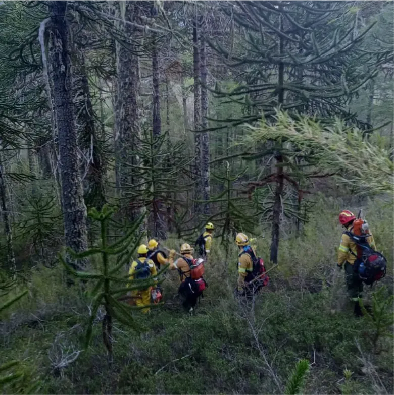 627249471_1199315692380911_2708376413151649346_n