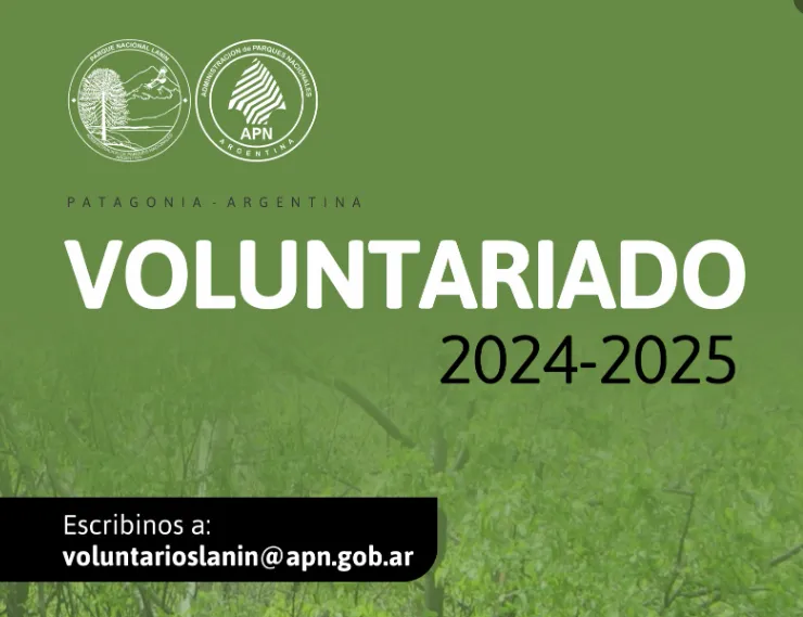 Captura de pantalla 2024-10-17 095306