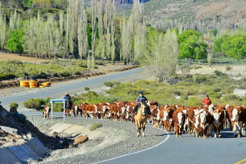 md - 2025-12-23T121301.931