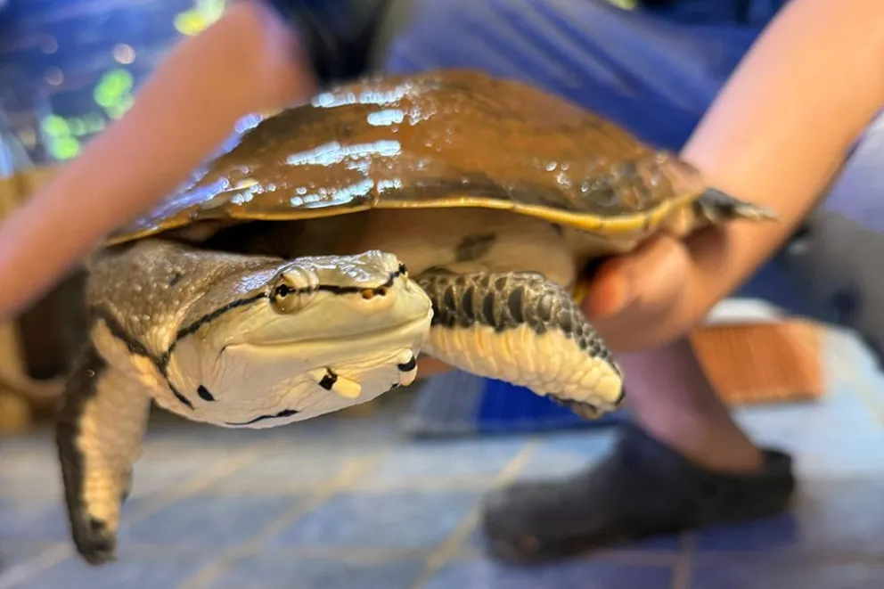 md - 2025-12-18T124621.233