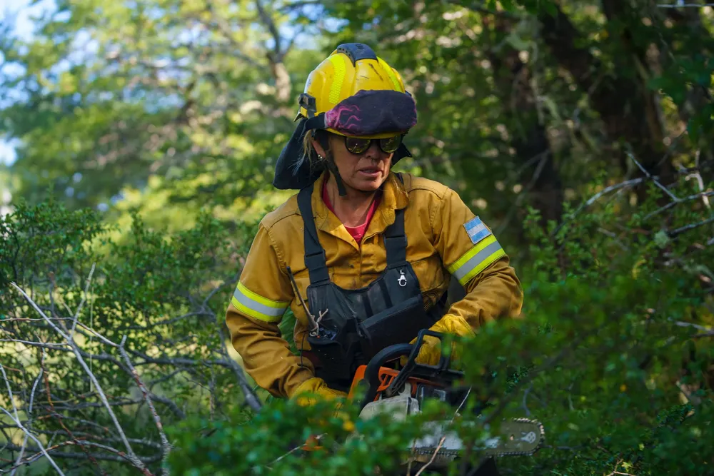 Imagen de WhatsApp 2025-02-09 a las 19.39.10_b4843ddc