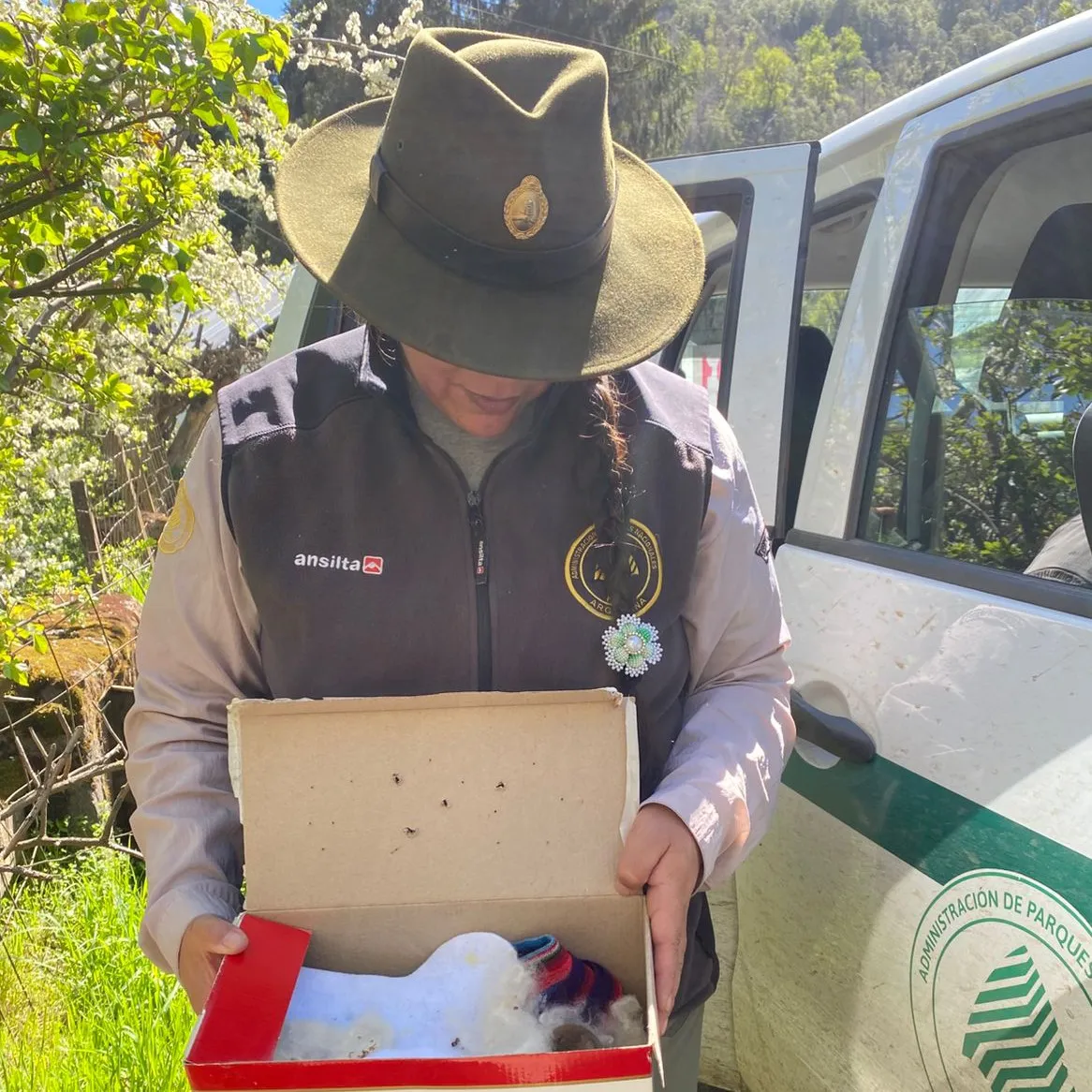 588212603_1145751744403973_9217197916581049077_n