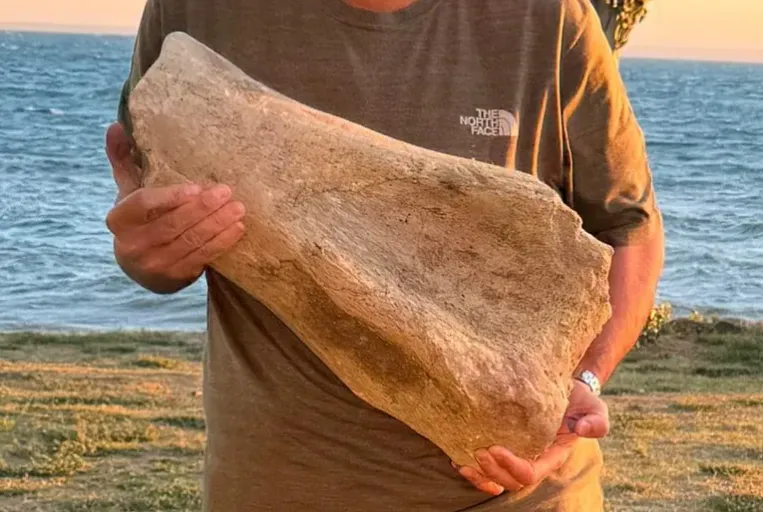 Captura de pantalla 2025-01-28 182255