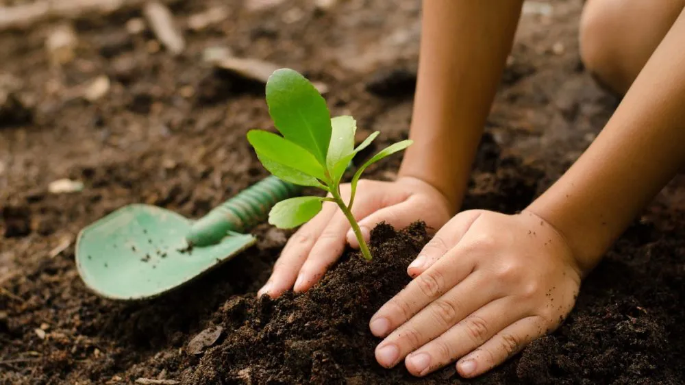 ley-edu-ambiental-1000x562