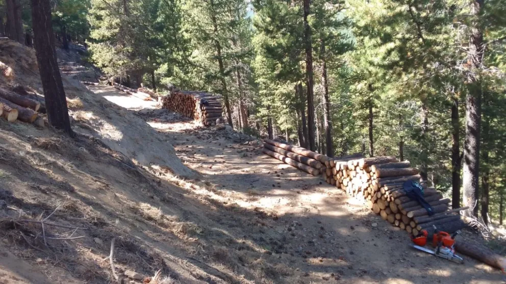 md - 2026-03-12T104951.328