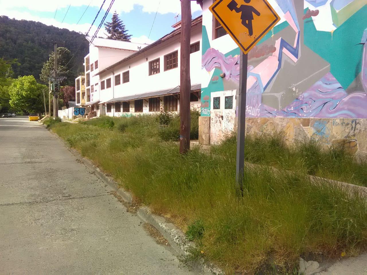 escuelas4
