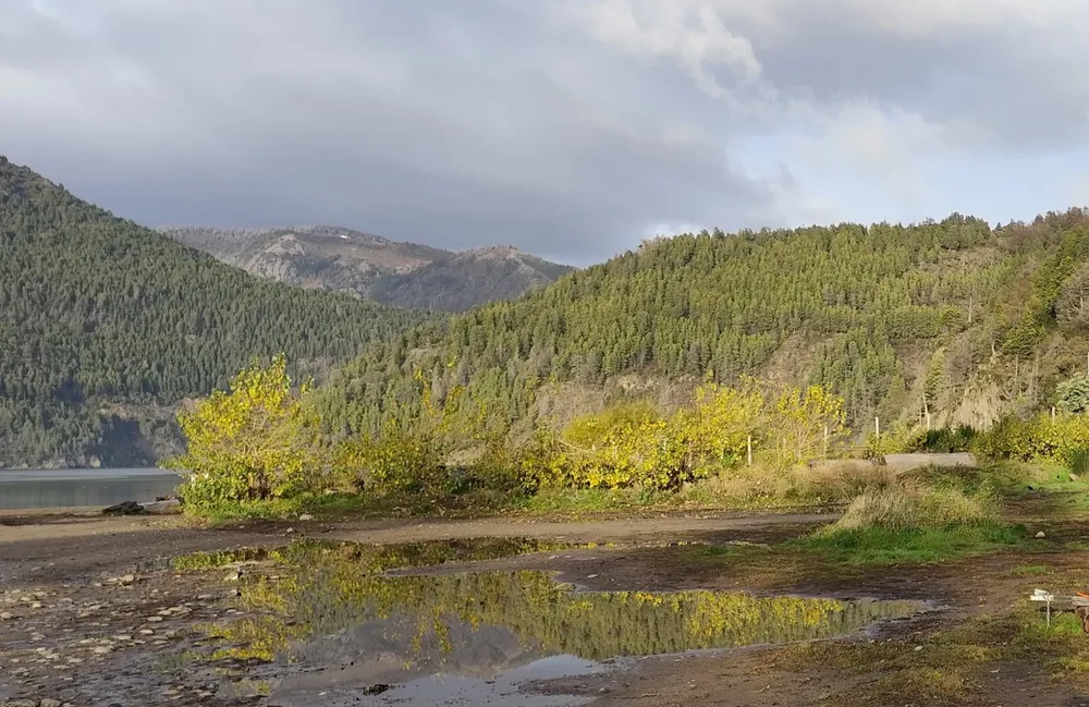 WhatsApp Image 2026-01-03 at 12.28.06