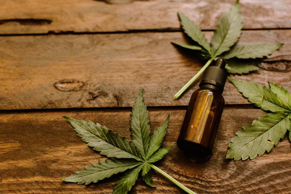 cannabis medicial