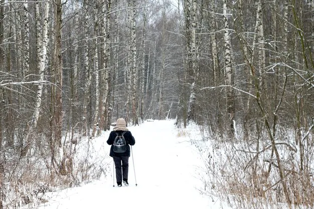 persona-haciendo-caminatas-nordicas-bosque-invierno-tiempo-nieve_174343-1094