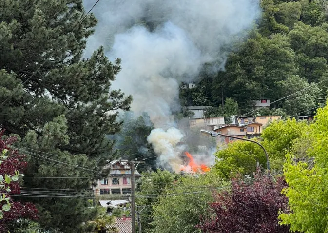 Captura de pantalla 2024-12-19 212749