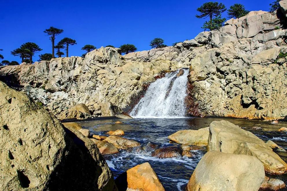 md - 2026-03-13T112039.811