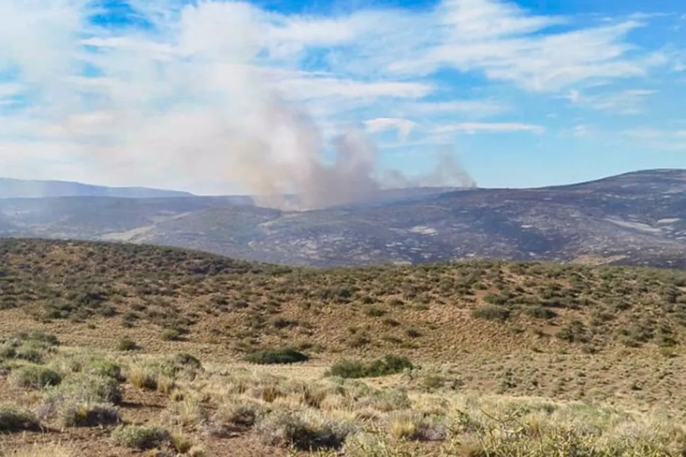 md - 2026-01-28T103822.006