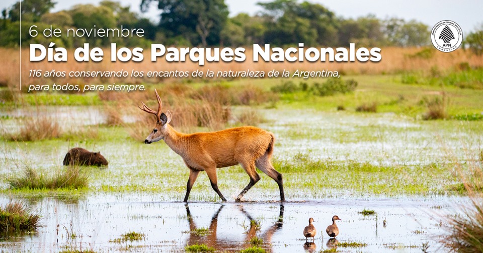 Hoy la Administración de Parques Nacionales cumple 116° años