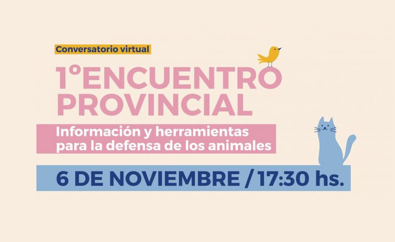 encuentro animal