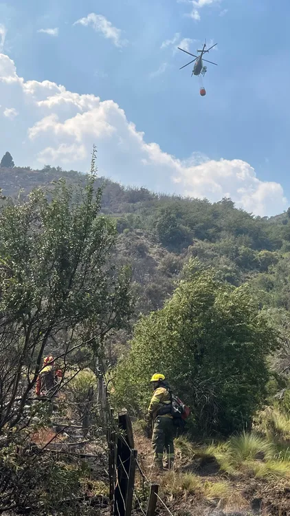 Imagen de WhatsApp 2025-02-04 a las 20.52.05_a07025d4