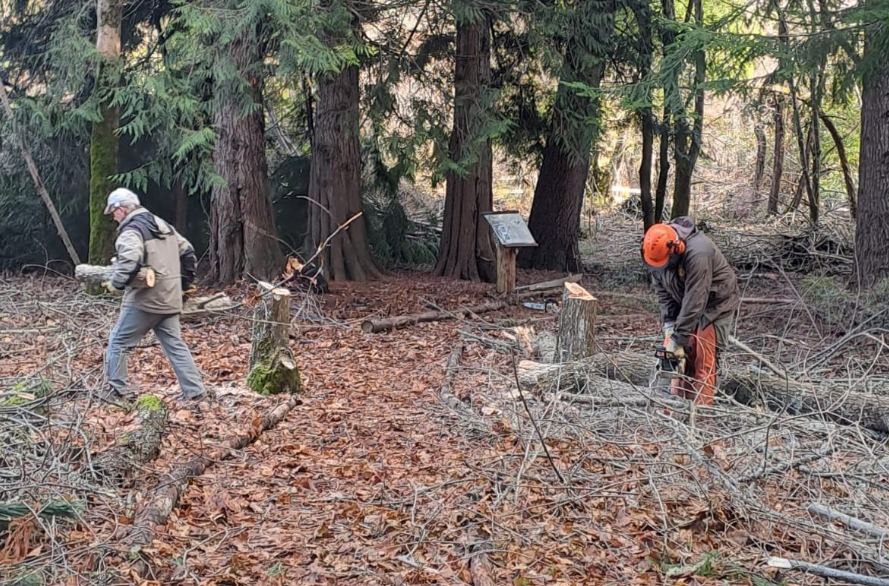 Captura de pantalla 2024-07-31 093812