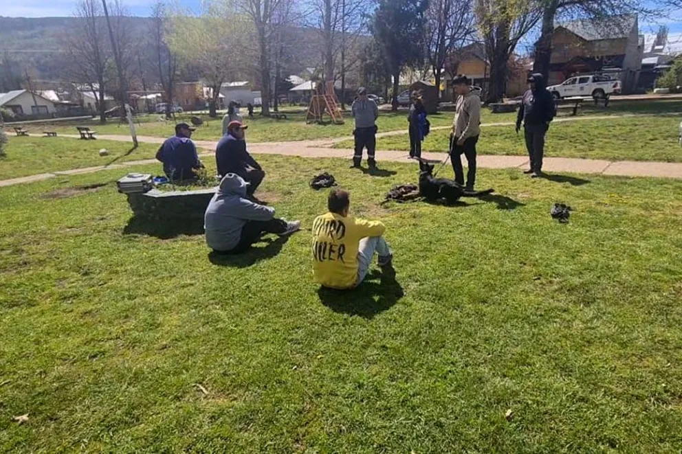 drogas en la plaza