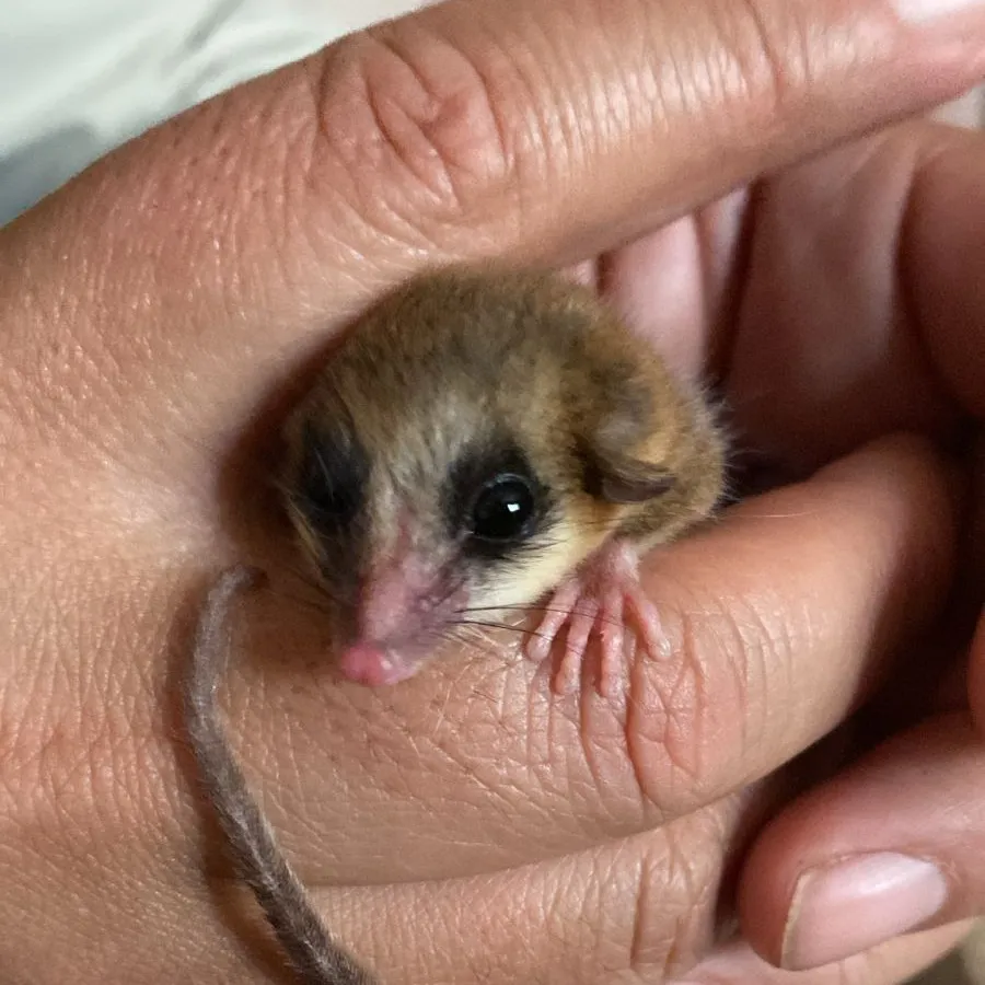 589280277_1145751391070675_4877374692318429767_n