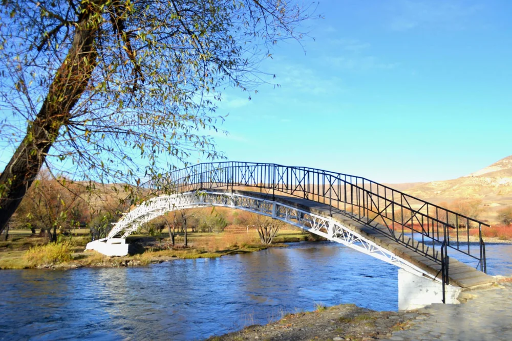 puente banana junin