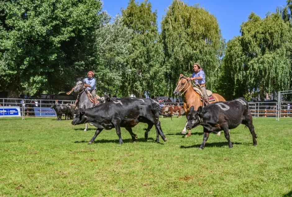 WhatsApp-Image-2024-01-16-at-09.02.29