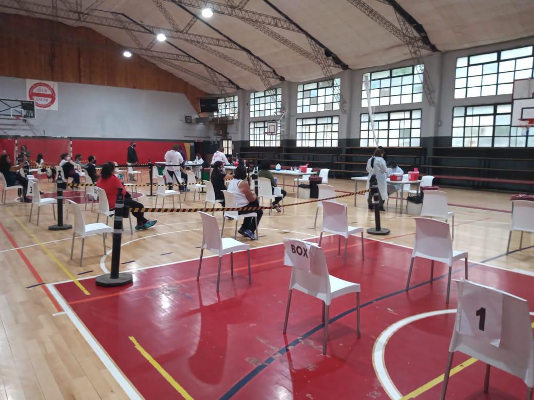 vacuna docente